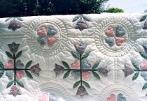 Abram's Delight, Quilt